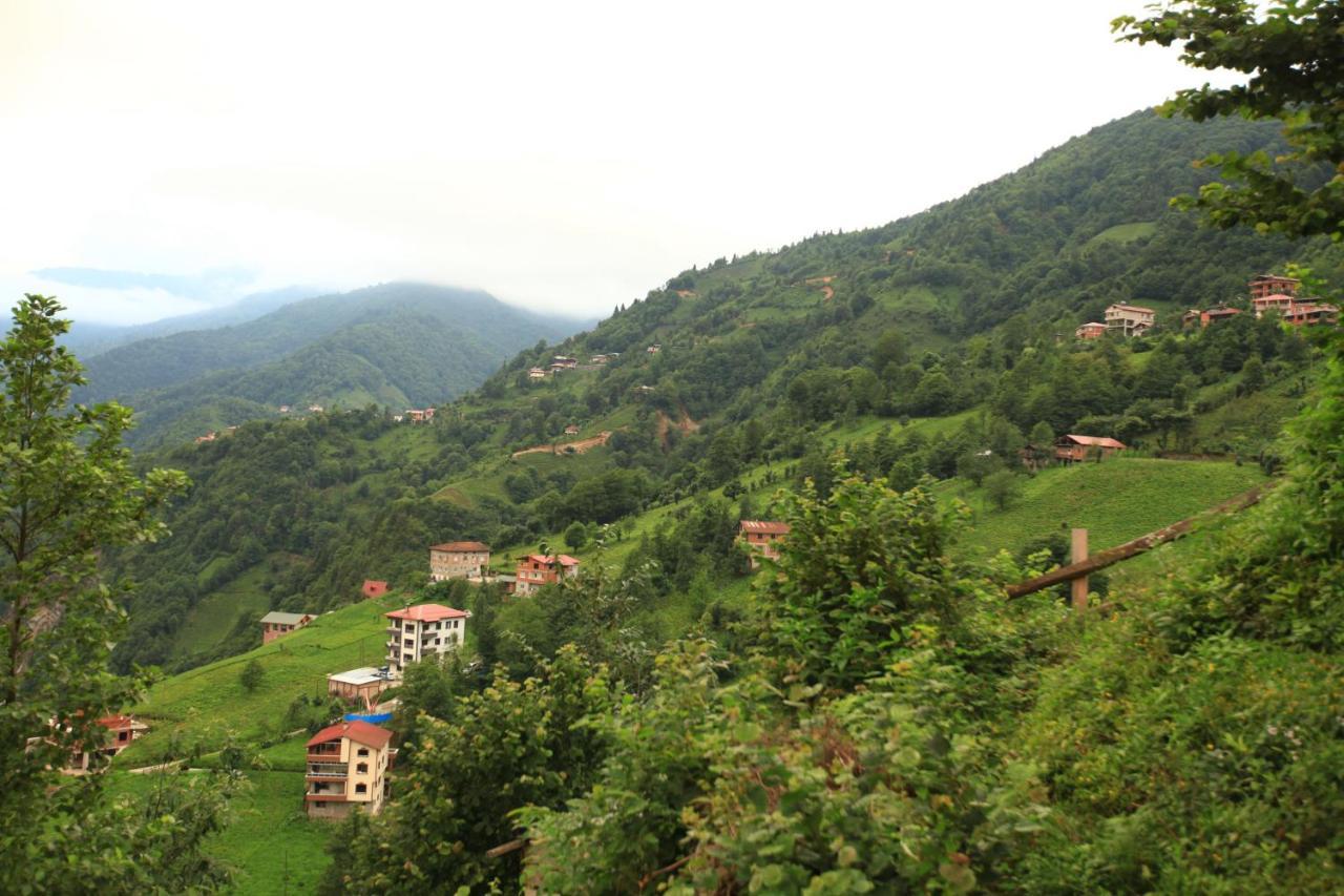 Kinya Bungalov Hotel Cayirduzu エクステリア 写真