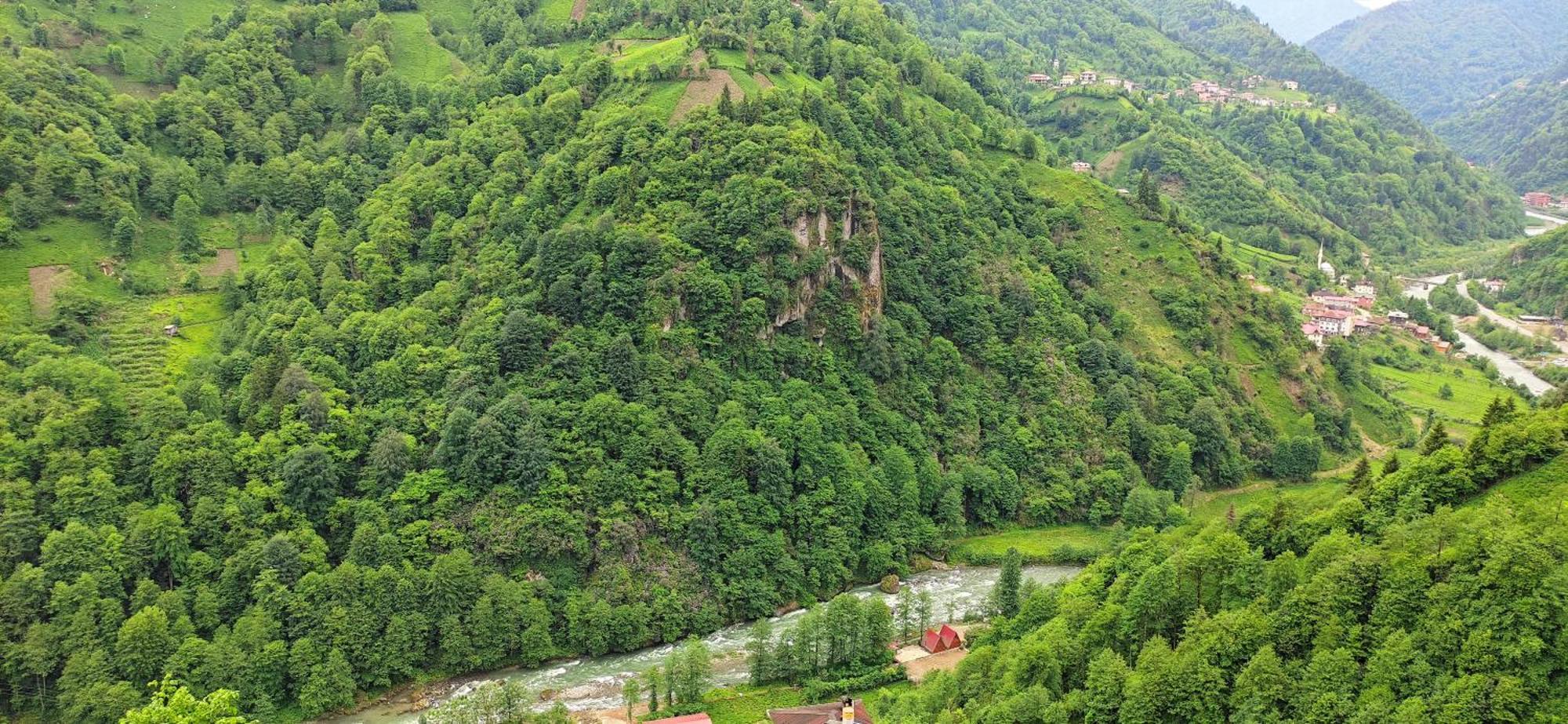 Kinya Bungalov Hotel Cayirduzu エクステリア 写真